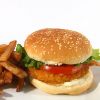 Burgers de poitrine de poulet panés, épicés, non cuits (assaisonnés)
